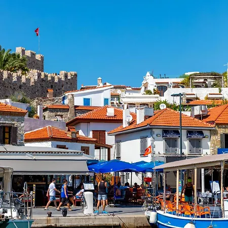 בית הארחה Mustafa Tokalac Castle House