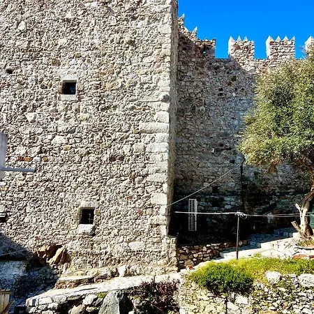 Mustafa Tokalac Castle House *