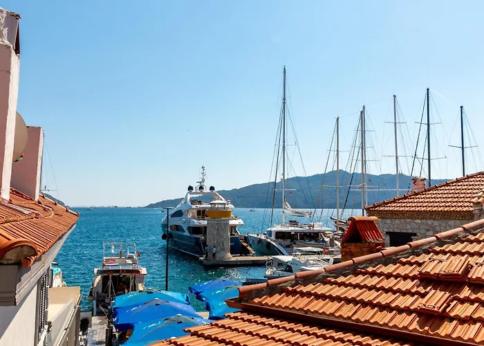 Guest house Mustafa Tokalac Castle House 4*