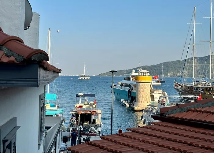 Mustafa Tokalac Castle House